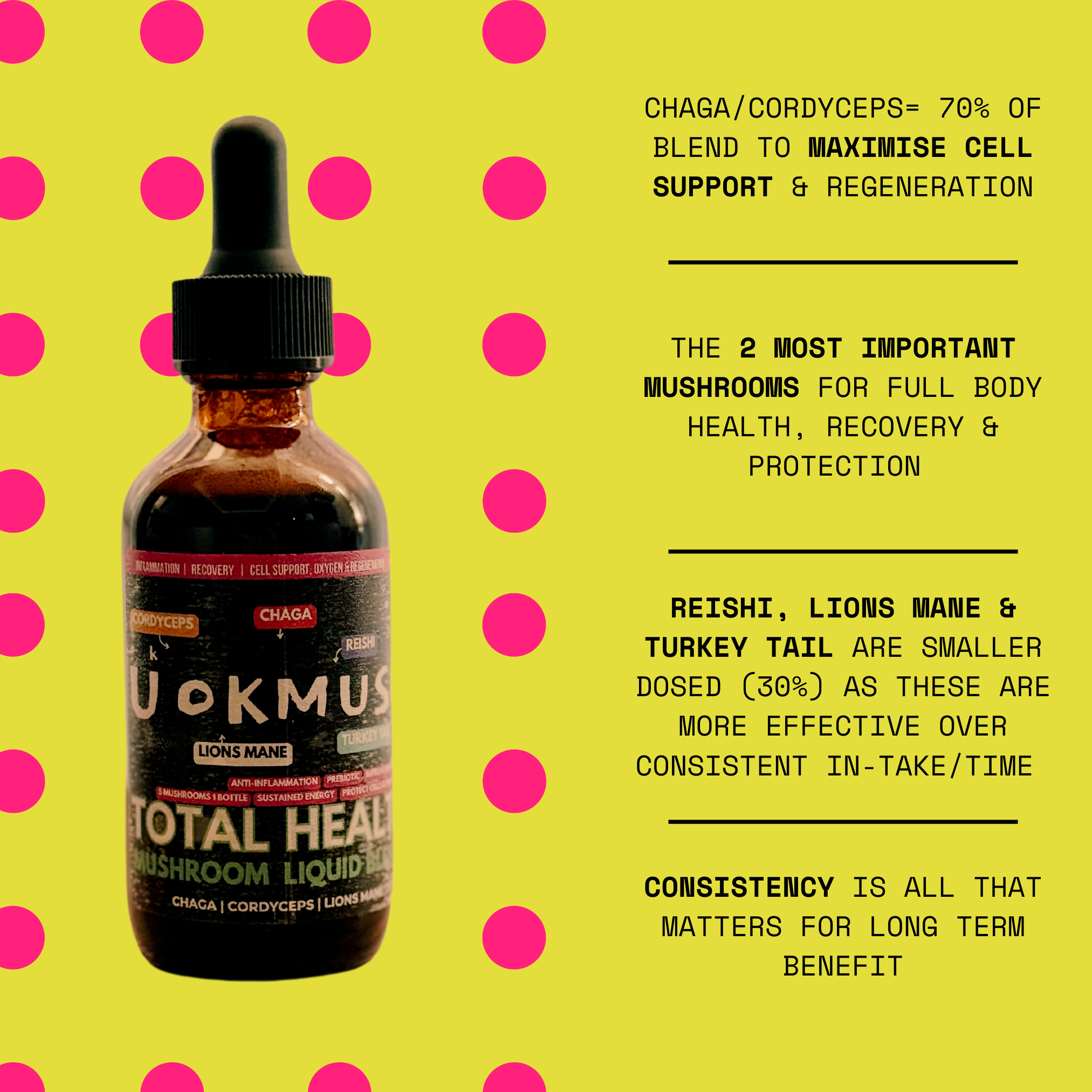 [22/102MINERALS] 5 Mushroom Supplement Concentrate- Health